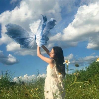 盗影谜情
